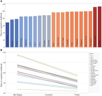 Genetic and molecular regulation of chilling requirements in pear: breeding for climate change resilience